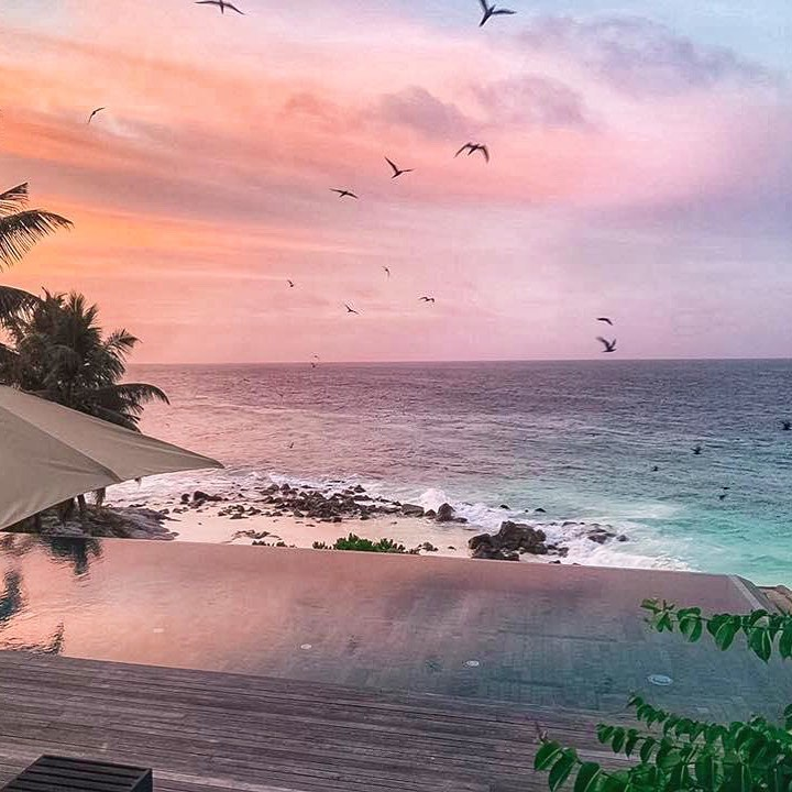 Life is better overwater. Perched above the clear azure waters of the Indian Ocean, from our outstanding Private Villa @ Fregate Island Private

#HauteRetreats #Seychelles
⇲ Visit our link in bio for more or email reservations@Hauteretreats.com