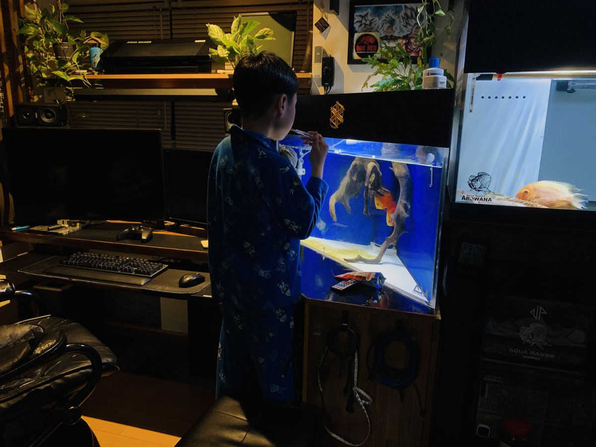 aquanopodiy2016's tweet photo. 我が家の #明智レッド の背中が輝きだした!🤩
ネオンテトラが1魚力に…
一番飼育が難しいかも🥺
#MetalredF4
#テンニング
#七祭堂 https://t.co/mhIKdrwwUS