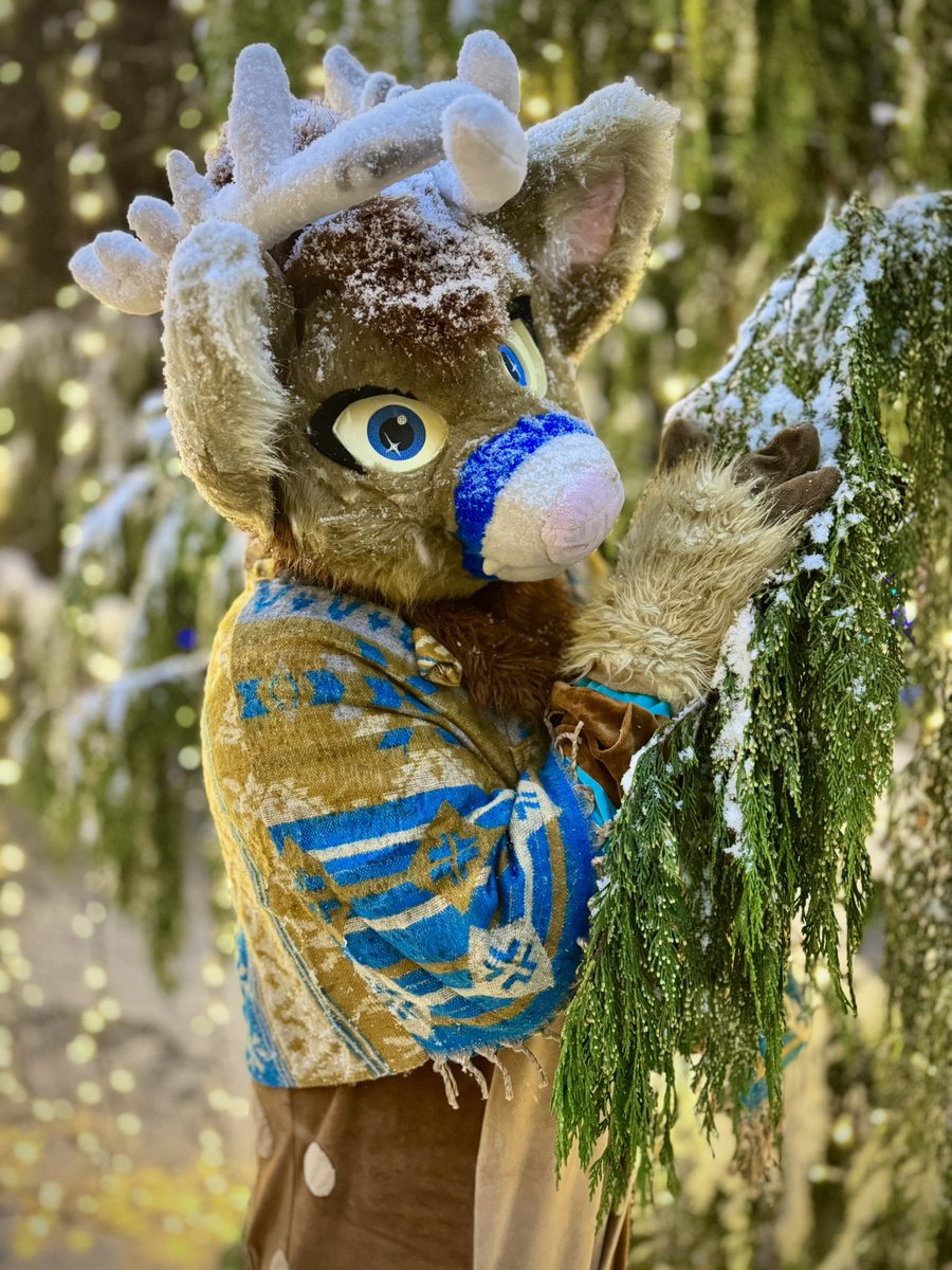 ❄️🦌❄️🦌❄️🦌❄️🦌