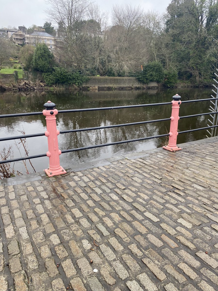 Theresepower's tweet photo. Day 12 #100daysofwalking A lovely walk by the lee. https://t.co/S0nk64B9iV