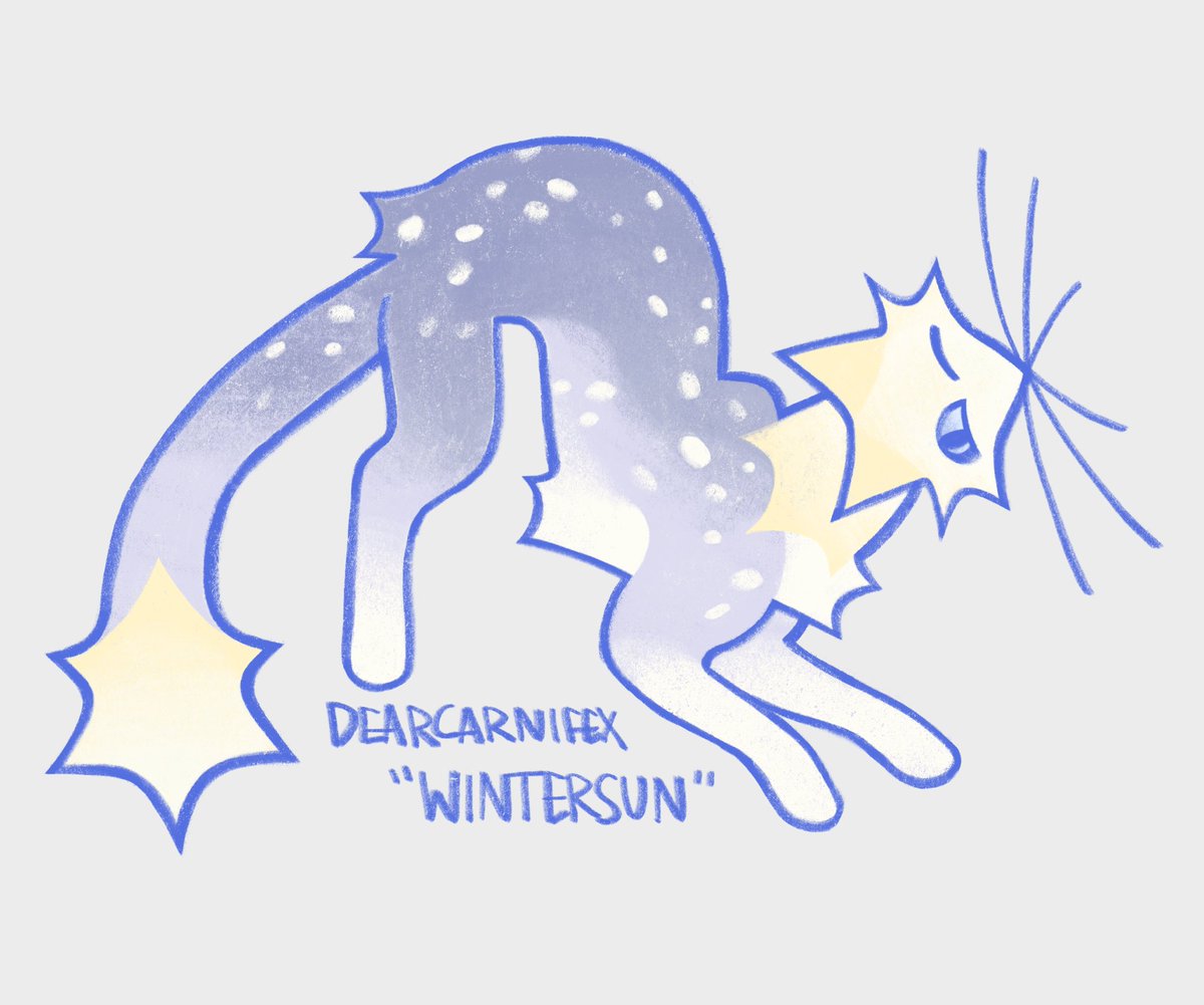 Sona for the experience of winter 24-25