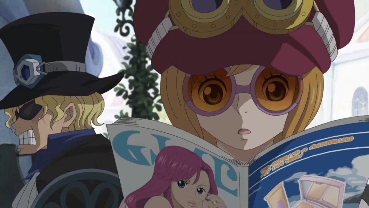 Daily Koala (@dailykoala1) on Twitter photo 