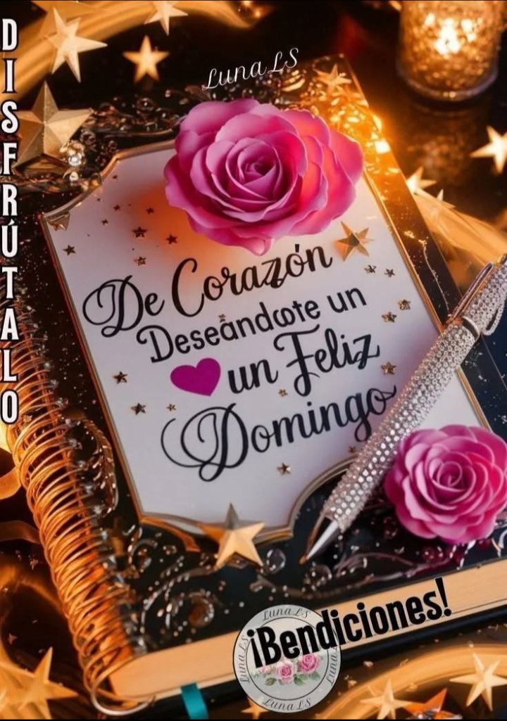 Maria Antonieta López 🪄 tweet media