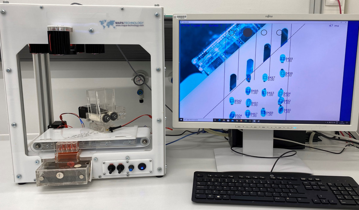 ParasiteJournal's tweet photo. Tsetse flies are the cyclical vectors of African trypanosomes.
To separate the sexes is a major goal for tsetse management programmes with Sterile Insect Technique.

This automatic sorting machine can do that!
https://t.co/1SIIEqgsaB

Abstract

Tsetse flies are the cyclical vectors of African trypanosomes and one of several methods to manage this vector is the sterile insect technique (SIT). The ability to determine the sex of tsetse pupae with the objective to separate the sexes before adult emergence has been a major goal for decades for tsetse management programmes with an SIT component. Tsetse females develop faster and pharate females inside the pupae melanise 1–2 days before males. This earlier melanisation can be detected by infrared cameras through the pupal shell, and the newly developed Near InfraRed Pupae Sex Sorter (NIRPSS) takes advantage of this. The melanisation process is not homogeneous for all fly organs and the pupa needs to be examined ventrally, dorsally and laterally to ensure accurate classification by an image analysis algorithm. When the pupae are maturing at a constant temperature of 24 °C and sorted at the appropriate age, 24 days post-larviposition for Glossina palpalis gambiensis, the sorting machine can efficiently separate the sexes. The recovered male pupae can then be sterilised for field releases of males, while the rest of the pupae can be used to maintain the laboratory colony. The sorting process with the new NIRPSS had no negative impact on adult emergence and flight ability. A mean male recovery of 62.82 ± 3.61% was enough to provide sterile males to an operational SIT programme, while mean contamination with females (4.69 ± 3.02%) was low enough to have no impact on the maintenance of a laboratory colony.