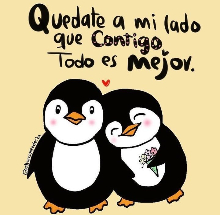 CastroAntonyDa1's tweet photo. 😍 https://t.co/pdYx61juuQ