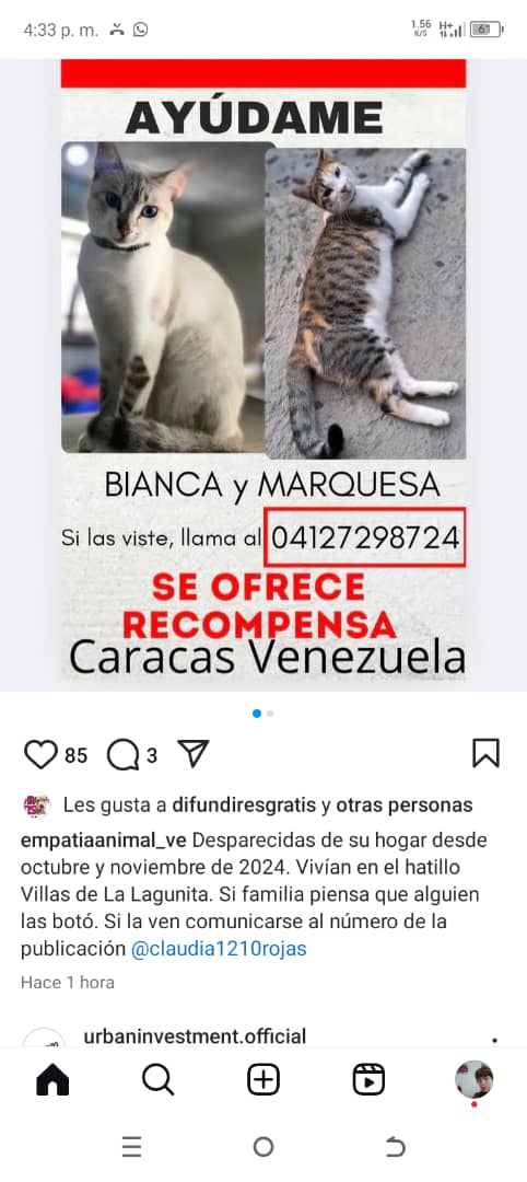 Atención Se busca.
