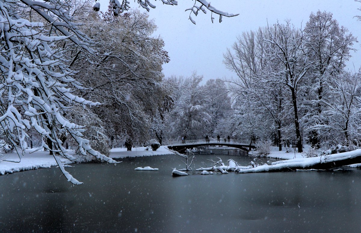 ❄️Градски парк - Скопје, 12.01.2025❄️