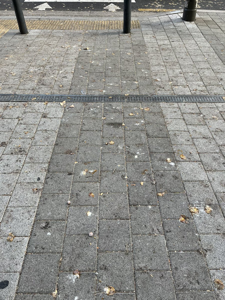 銀杏の季節は秋なのに
こんな真冬に落ちてる 
in Seoul

おそらく11月末 秋真っ只中に
大雪が降ってしまい
落ちるタイミングを逃したはず
そして上で凍ってた銀杏が
最近やようや落ちれた

匂いは全くせず
一度凍ったら匂いは
しないのかな