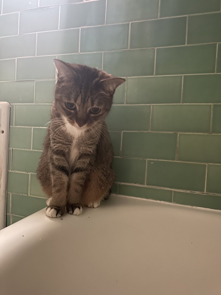 Patrick Skinner tweet media