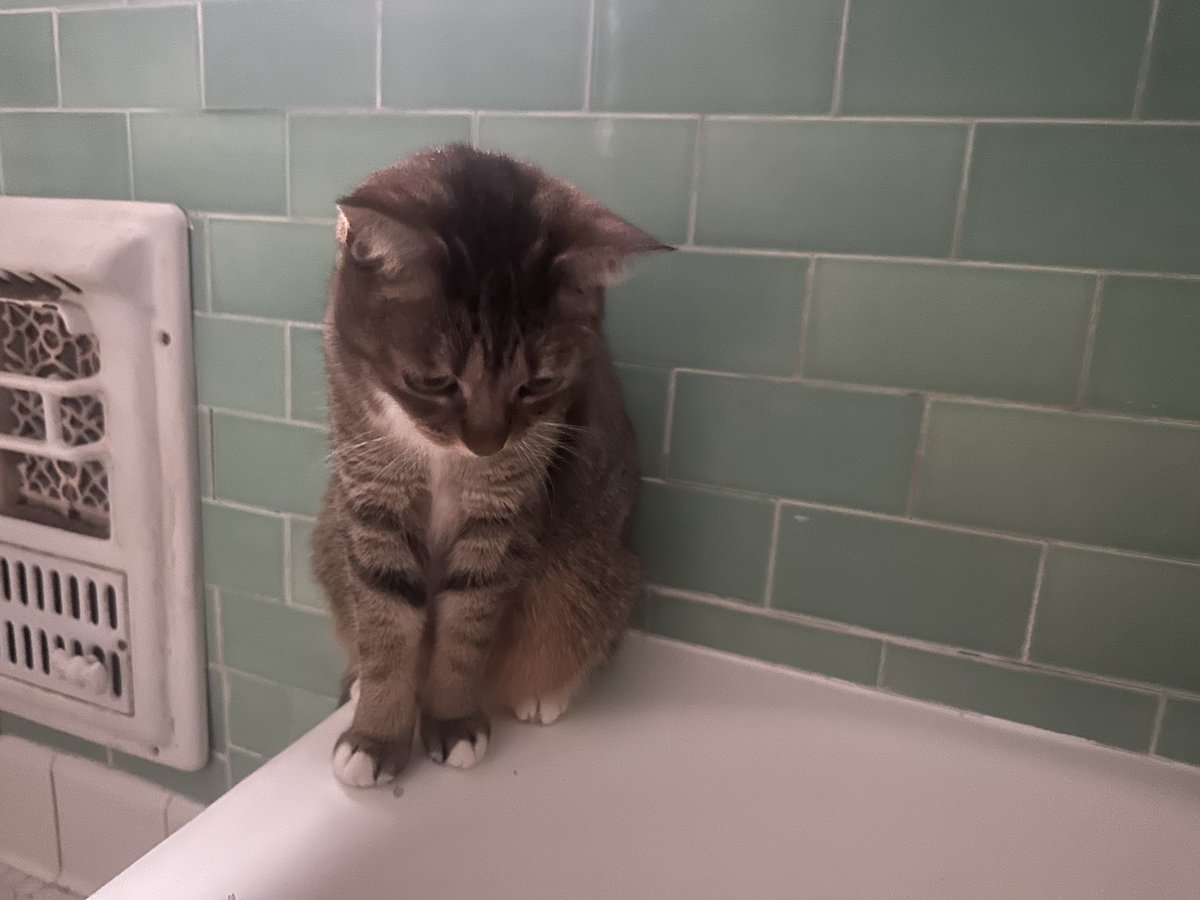 Patrick Skinner tweet media