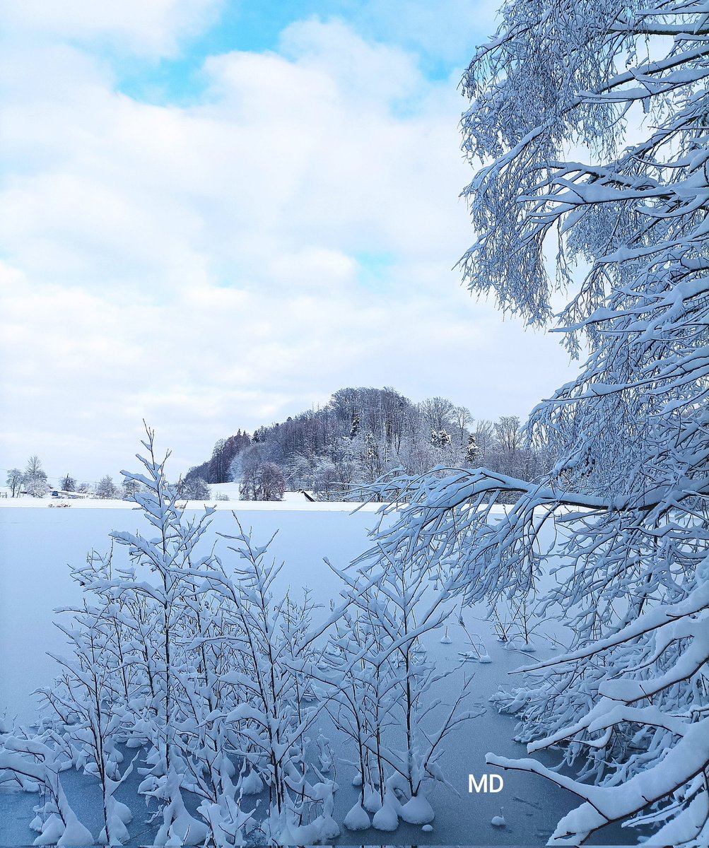 Martina Dvorská (@martinadvorsk2) on Twitter photo 