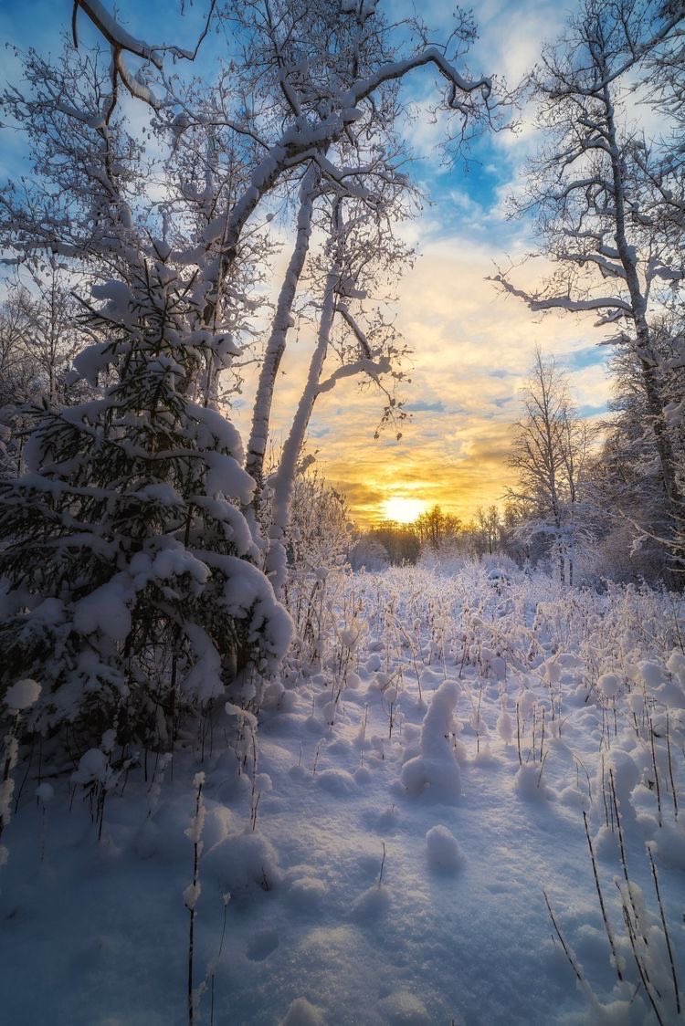 NurseLJohn707's tweet photo. Every day has the potential to be a good one, you just have to go out there and make it happen. https://t.co/weuY2OyjKR