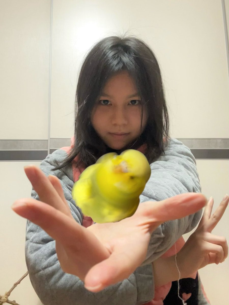 土丿匕木风 tweet media