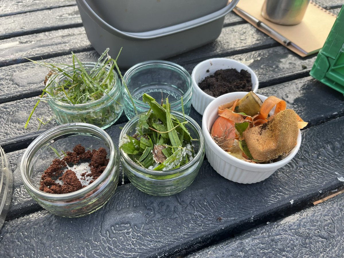 A week or so into the new year.. gotta keep pushing forward on the #allotment learned about composting and had our first plant casualties after the really cold snap! 🫣 

youtube.com/watch?v=pUCFjG…