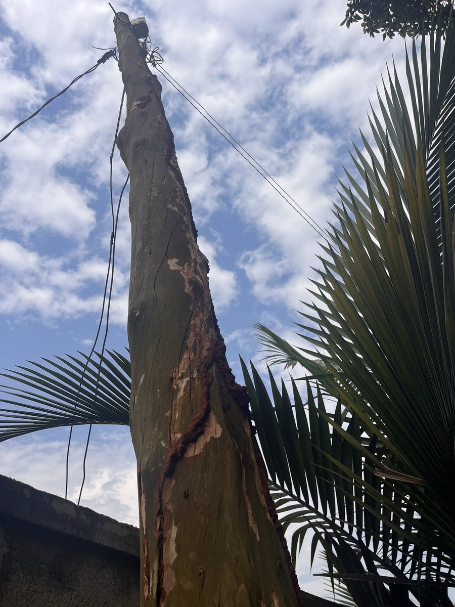 Twesigamukama tweet media