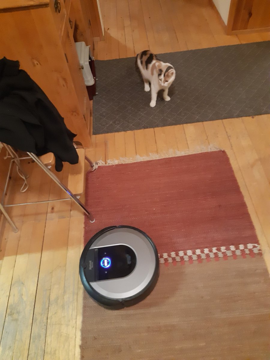 koomassi's tweet photo. Imurin työnjohtoa ja valvontaa.
#Pipsa https://t.co/BG6WvBkVXO