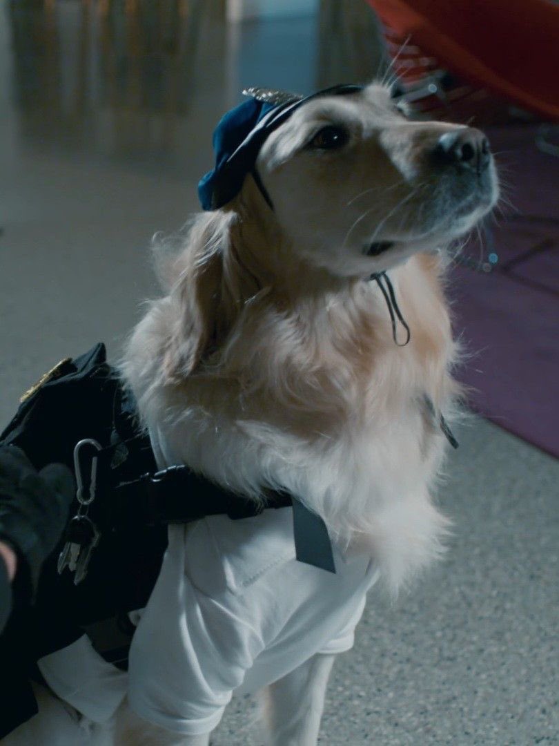 𝕖𝕝𝕤𝕚𝕖 ⋆⁺₊⋆ ☾ ⋆⁺₊⋆ ☁︎ tweet media