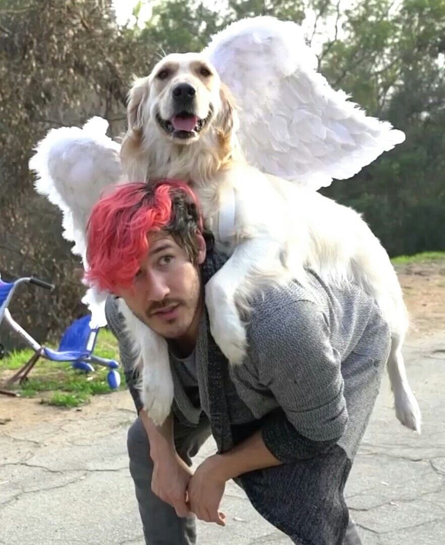 𝕖𝕝𝕤𝕚𝕖 ⋆⁺₊⋆ ☾ ⋆⁺₊⋆ ☁︎ tweet media