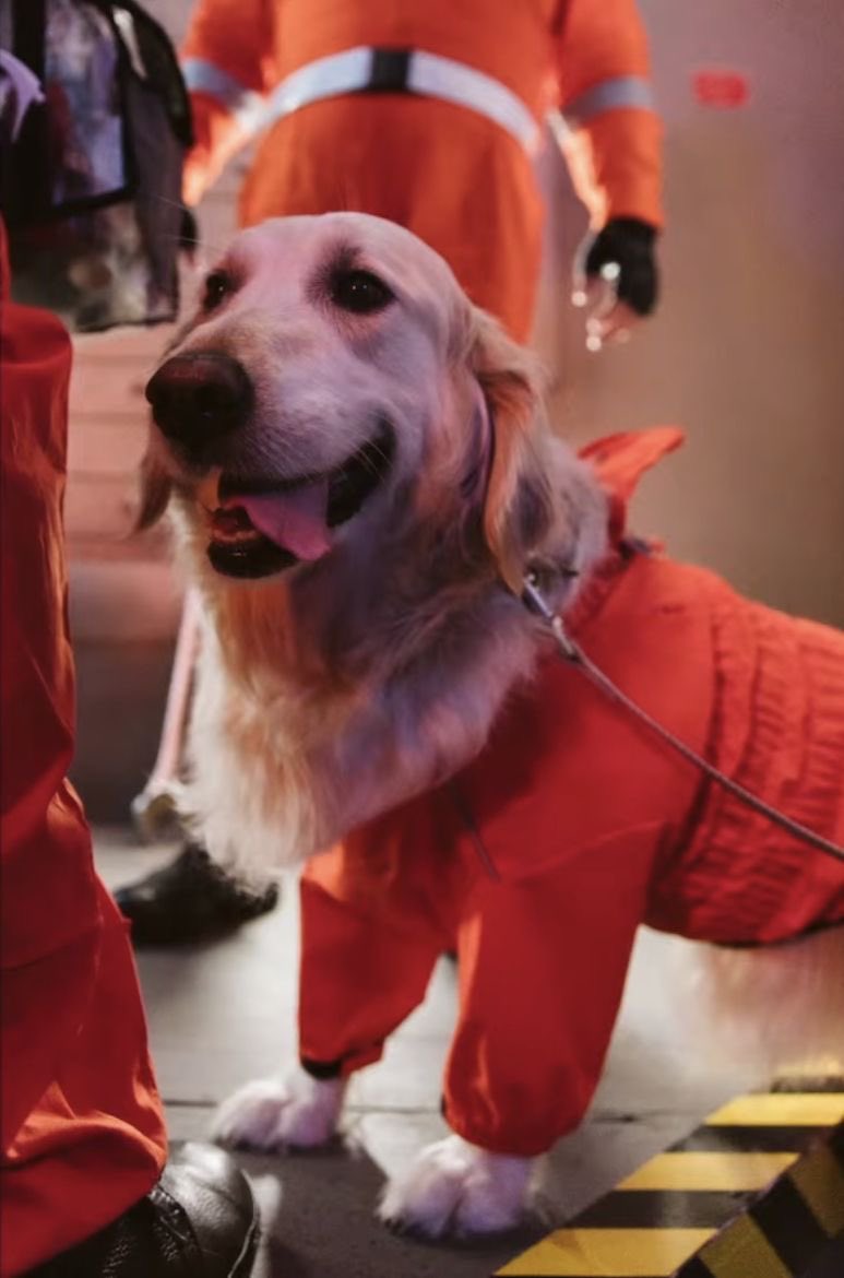 𝕖𝕝𝕤𝕚𝕖 ⋆⁺₊⋆ ☾ ⋆⁺₊⋆ ☁︎ tweet media