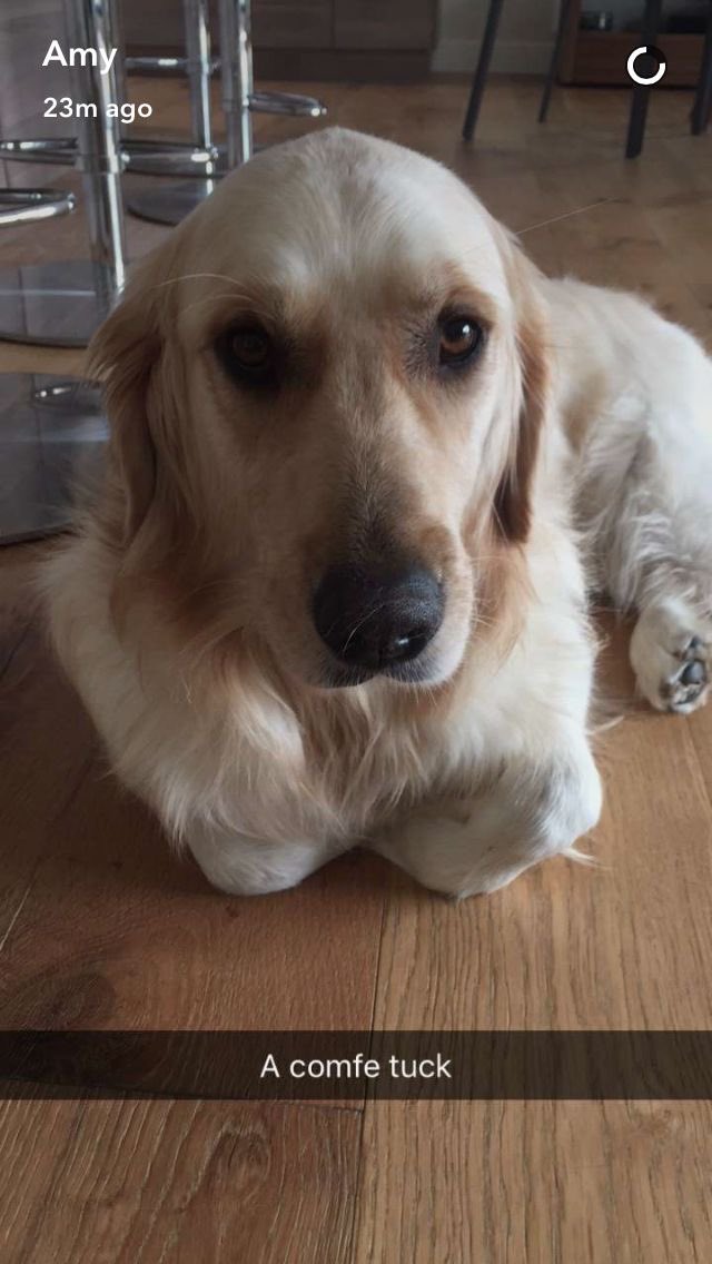 𝕖𝕝𝕤𝕚𝕖 ⋆⁺₊⋆ ☾ ⋆⁺₊⋆ ☁︎ tweet media