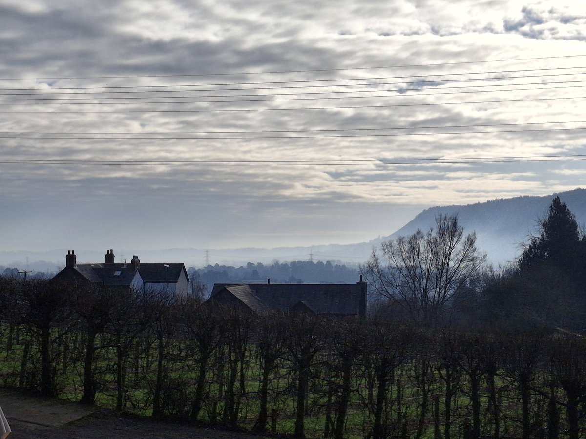 Vineyard in the mist. #sugarloafmountain