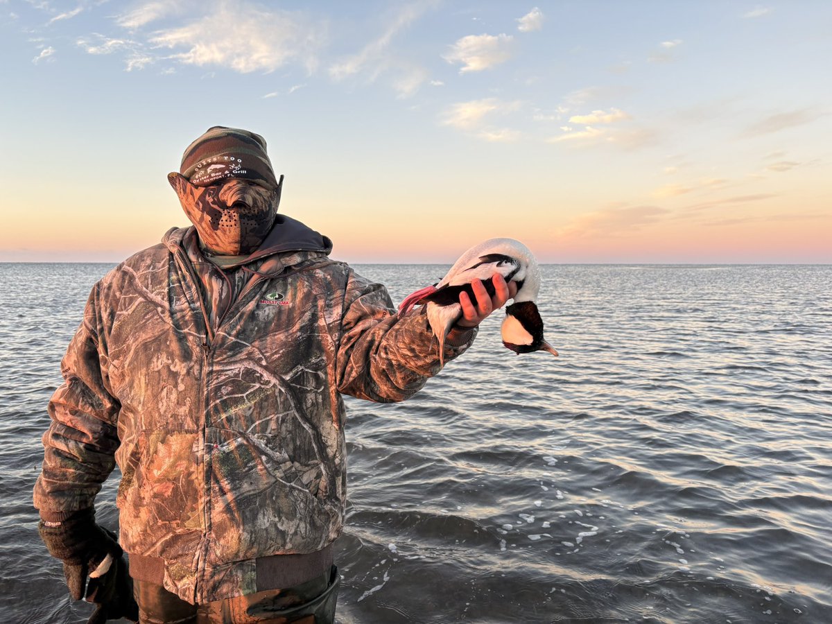 Good_Hunt's tweet photo. Bufflehead hunt off Florida’s Panhandle. With a bonus scoter! https://t.co/CViJogFRcn