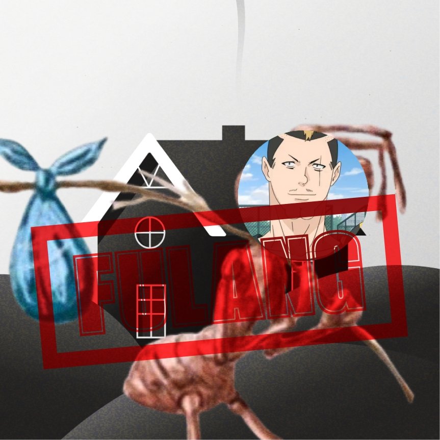 ⊥ǝɹnsɥıɯɐ tweet media