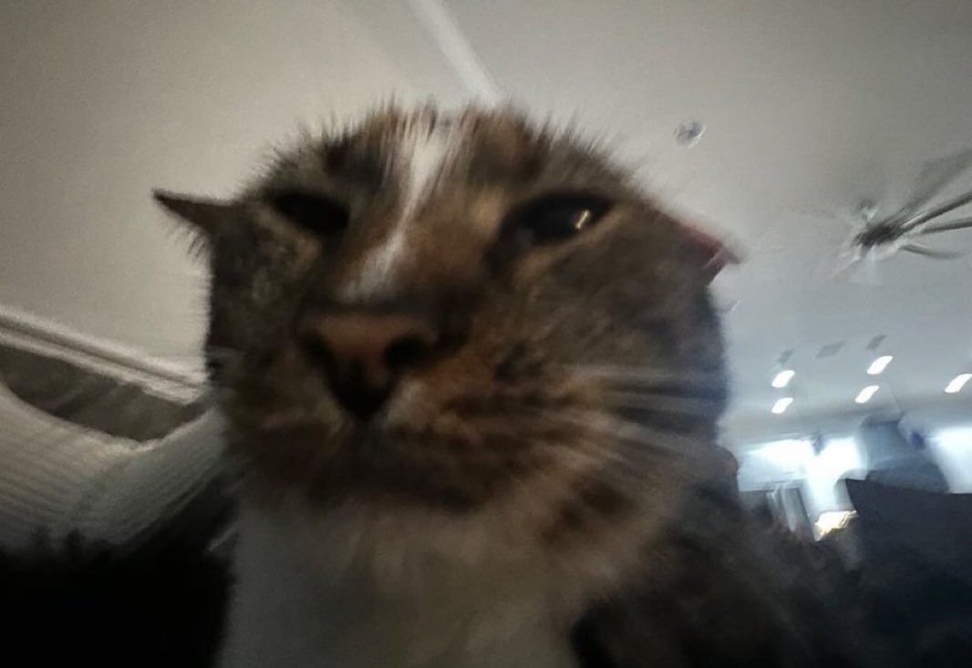 themindofjojo's tweet photo. honest reaction to the past 48 hours https://t.co/gvGGzDfs6r