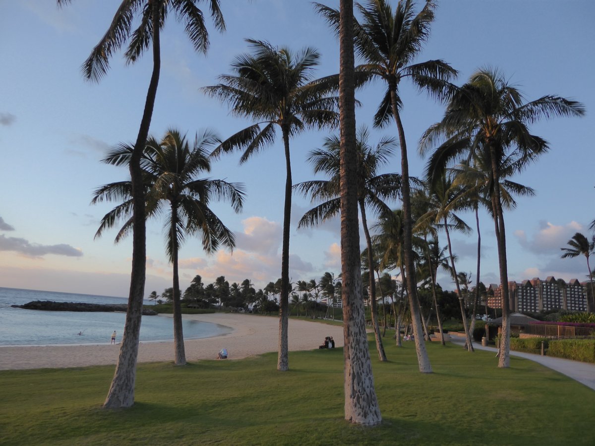 Jackie & Joel Smith tweet media