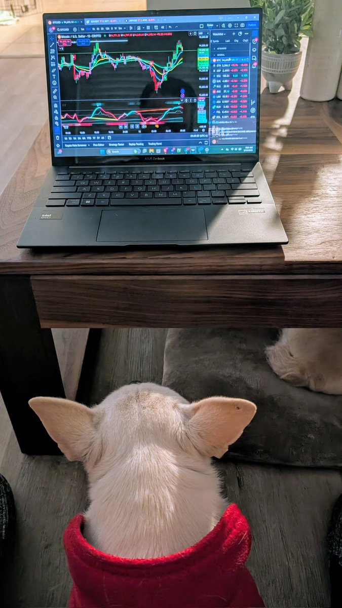 Even my dog is into crypto...checking the $BTC charts this morning