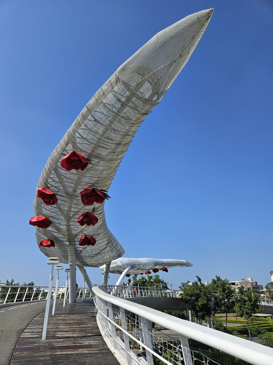 只要多一點想像
看見的就會不一樣
人心越是寬容
視野就越開闊
生命越有智慧
風起時
搏扶搖而直上
勇敢迎向未知的未來

#日常生活 #拾遺有感 #2025挑戰