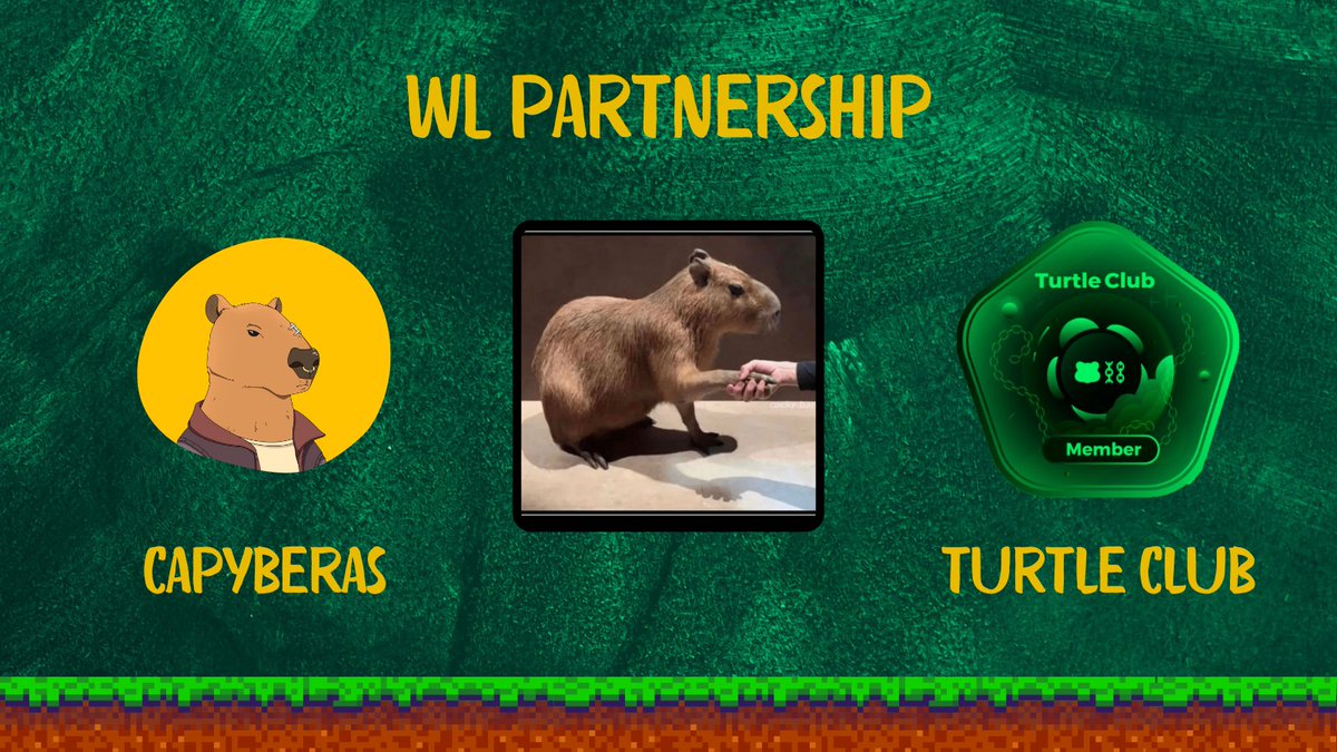 capyberas's tweet image. FREE MINT WL GIVEAWAY 💚🔥

Capyberas partnering with Turtle Club! 🐢

We will Giveaway 10 WL spots for our Capys 🎁

To enter: 
- Follow @capyberas &amp;amp; @turtleclubhouse 
- RT this tweet and comment your EVM wallet

Winners will be announced in 24 hours! 🔥