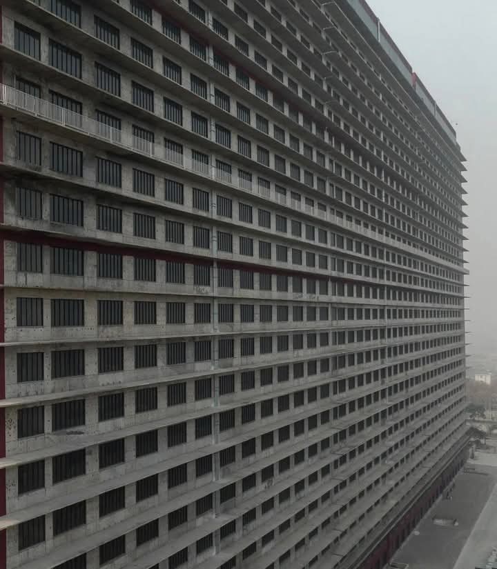 Le plus grand élevage de porcs et abattoir au monde à Ezhou  à environ 80 km de Wuhan en Chine. 
En faites, il y a t-il un animal sur cette terre qui ne souffre pas ou qui ne meurt pas à cause de l'être humain ? 
Et bien je dirais AUCUN 😡😡😡😡😡