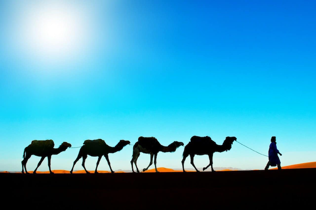 We just kicked off 2025 with our first Apache Camel release of the year: 4.8.3! This LTS patch release includes 40 bug fixes and improvements. Check out the full details: camel.apache.org/blog/2025/01/R… #ApacheCamel