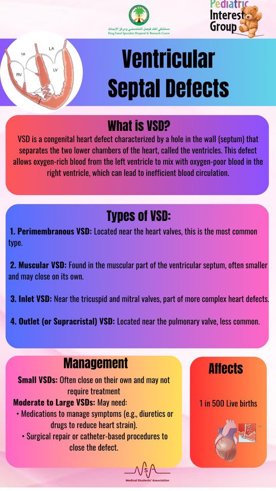 peds_au's tweet photo. Week 2: Ventricular Septal Defect💙 

A congenital heart defect that affects many, but with early detection and care, children can thrive. Let’s celebrate the strength of these little warriors and raise awareness for better outcomes!💪#VSDawareness #CongenitalHeartDefects🫀 https://t.co/ScY6YsKUyR