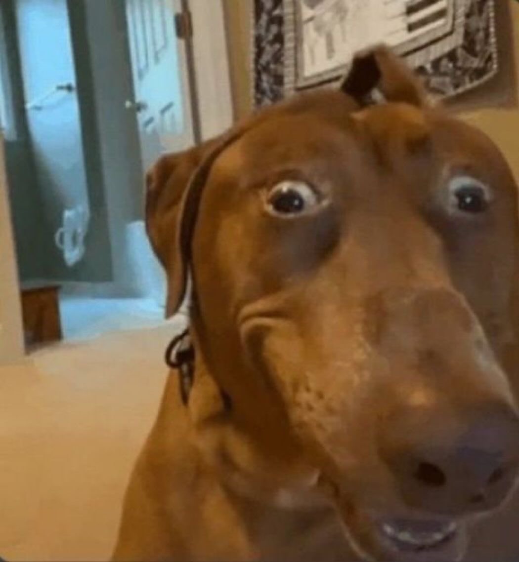 niggas in paris tweet media