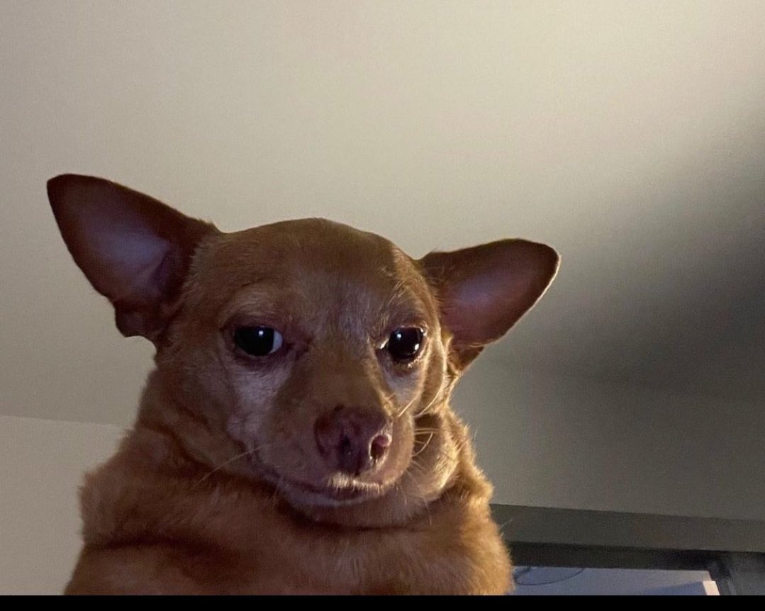 Big teams in SA are playing CAF while others are busy losing against Golden Arrows