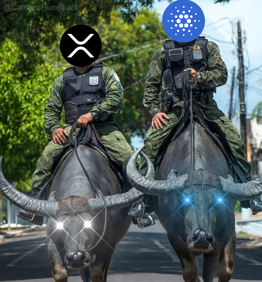 Cardano Hieronymus (@cardanohumpback) on Twitter photo Are the bulls gearing up for another run? Are the bulls gearing up for another run?
