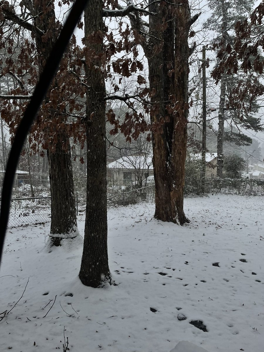 Tha snow was so pretty idk