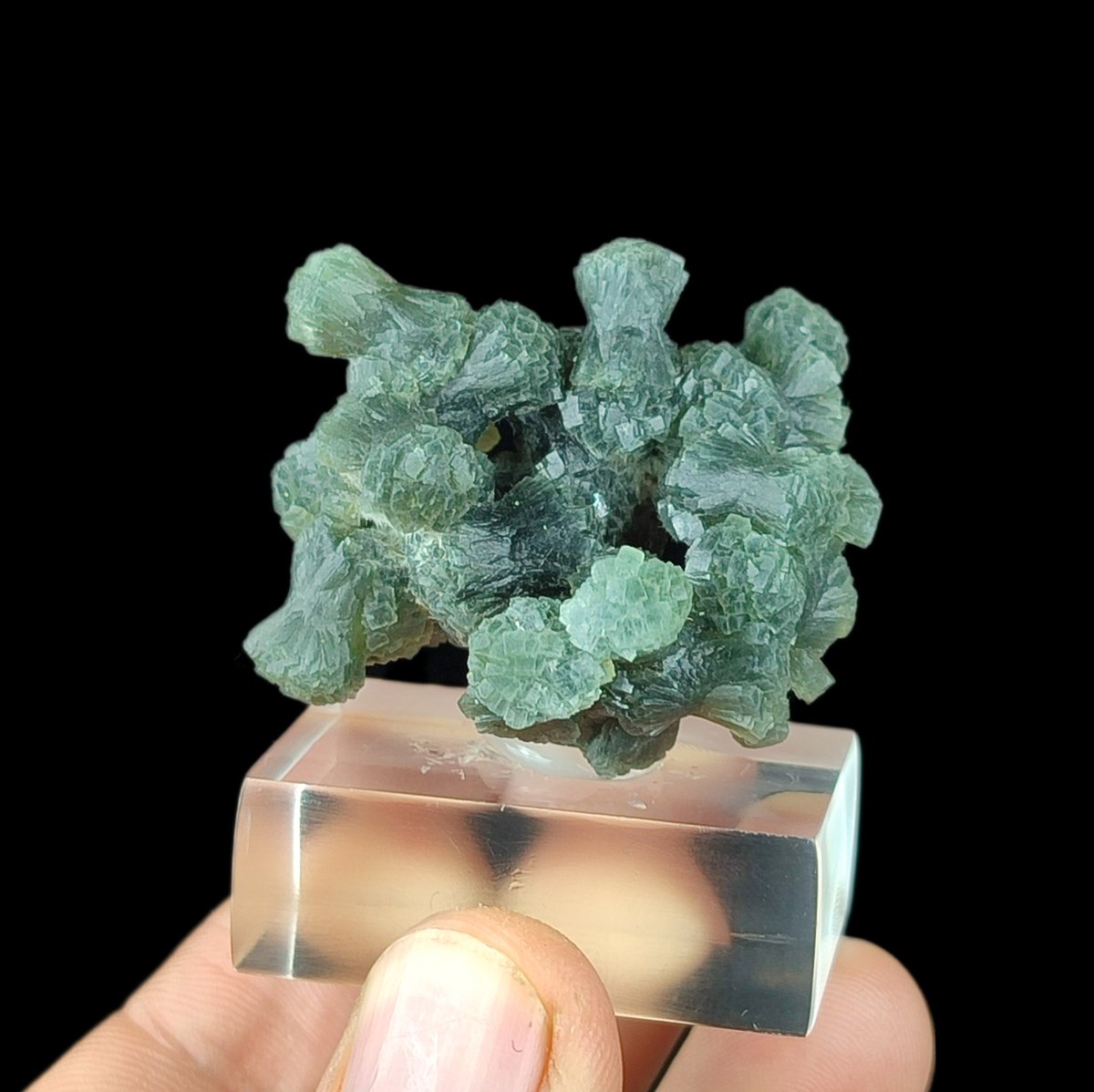 Rare find! Prehnite Broccoli Shape from Imilchil, Morocco pure natural beauty! 
 Available now on my Etsy shop with 15% OFF + FREE worldwide shipping! Don’t miss out! 🌍
🔗 [cristalprince.etsy.com]
#Prehnite #MineralSpecimen #MoroccanMinerals #CrystalHealing #RockCollectors