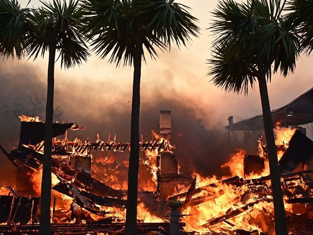 ClimateClassAct's tweet image. Long list of costliest #ClimateDisasters in US in the past few years:
nationalpost.com/news/los-angel… 
If you were affected by the #LA #Fires then Join the #ClimateClassAction and calculate your personal #ClimateDamage compensation on ClimateClassAction.com