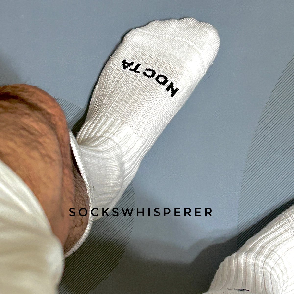 sockswhisperer's tweet photo. 冷漠可以省去烦恼……😪 https://t.co/bZttsUTBEZ