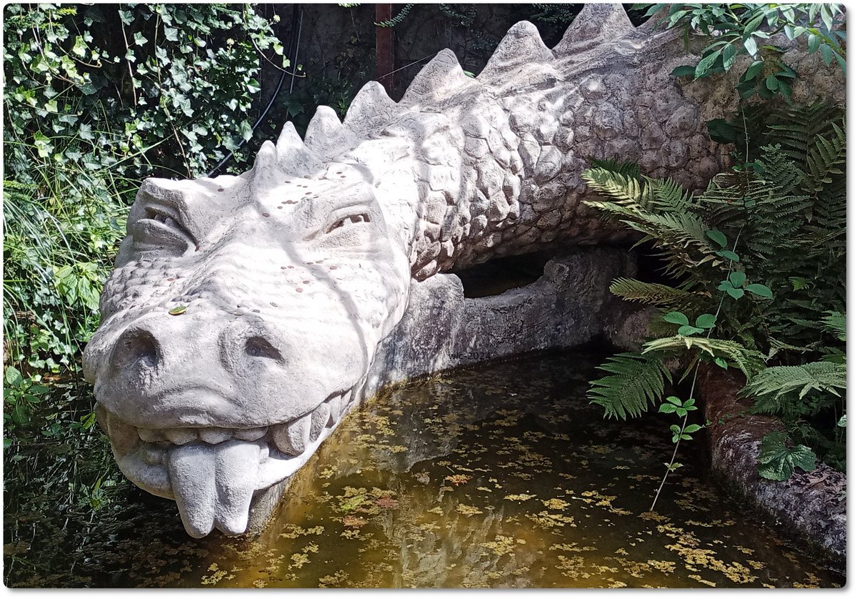 SaveBumblebee's tweet photo. an excursion to Drachenfels, Rhineland - the dragon @Alanmfrost1 @Jane_Lucas82 @Team4Nature @KnollFoundation @B_Strawbridge @moitzfeld @WingertBonn @Gartenglueck2 @Lexi_4711 @MikeRob66 @Zoology_SU @Ed_P_Wildlife https://t.co/ijoLkJ2p1R