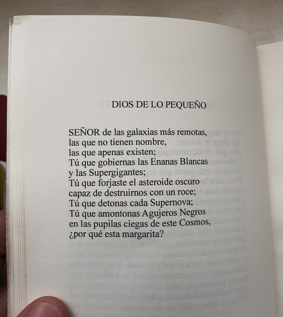 Paseo por el campo, esta imagen me hace recordar el inmenso poema “Dios de lo pequeño” de <a href="/DanielCotta7/">Daniel Cotta</a>