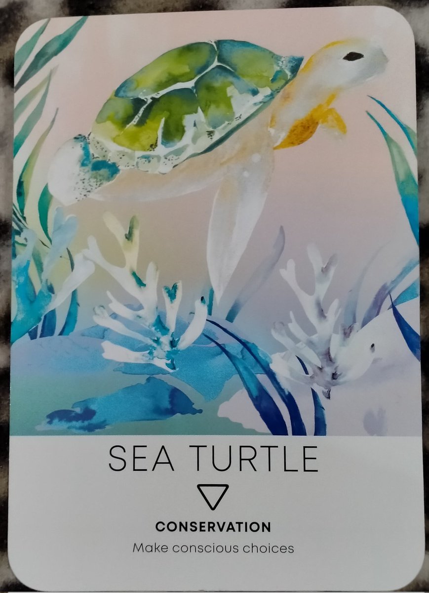 didsastrotarot's tweet image. #oracleoftheday 💫