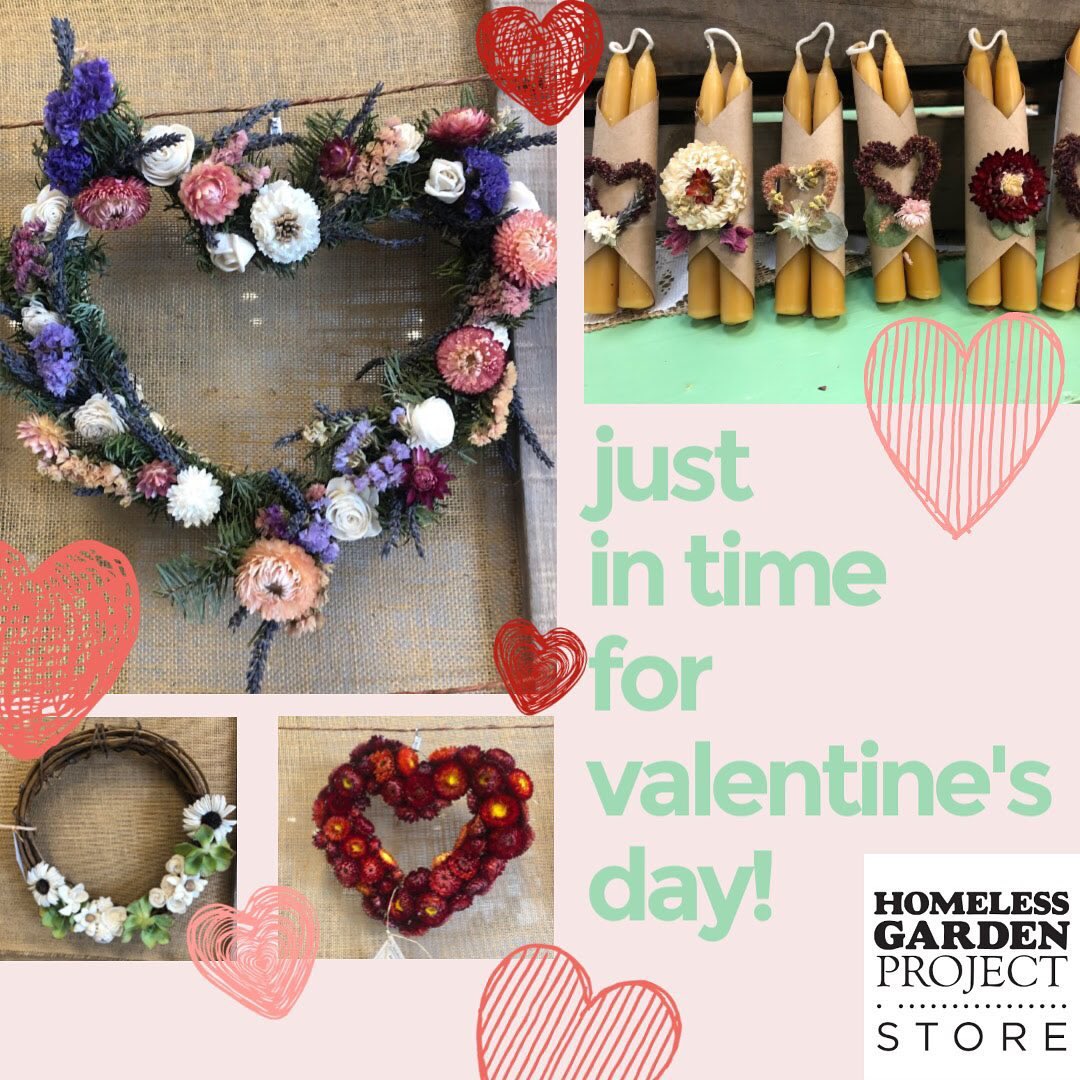 Homeless Garden Project tweet media