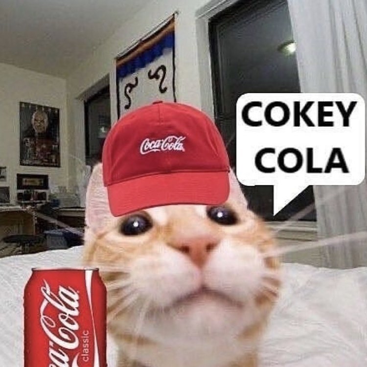PunchingCat tweet picture