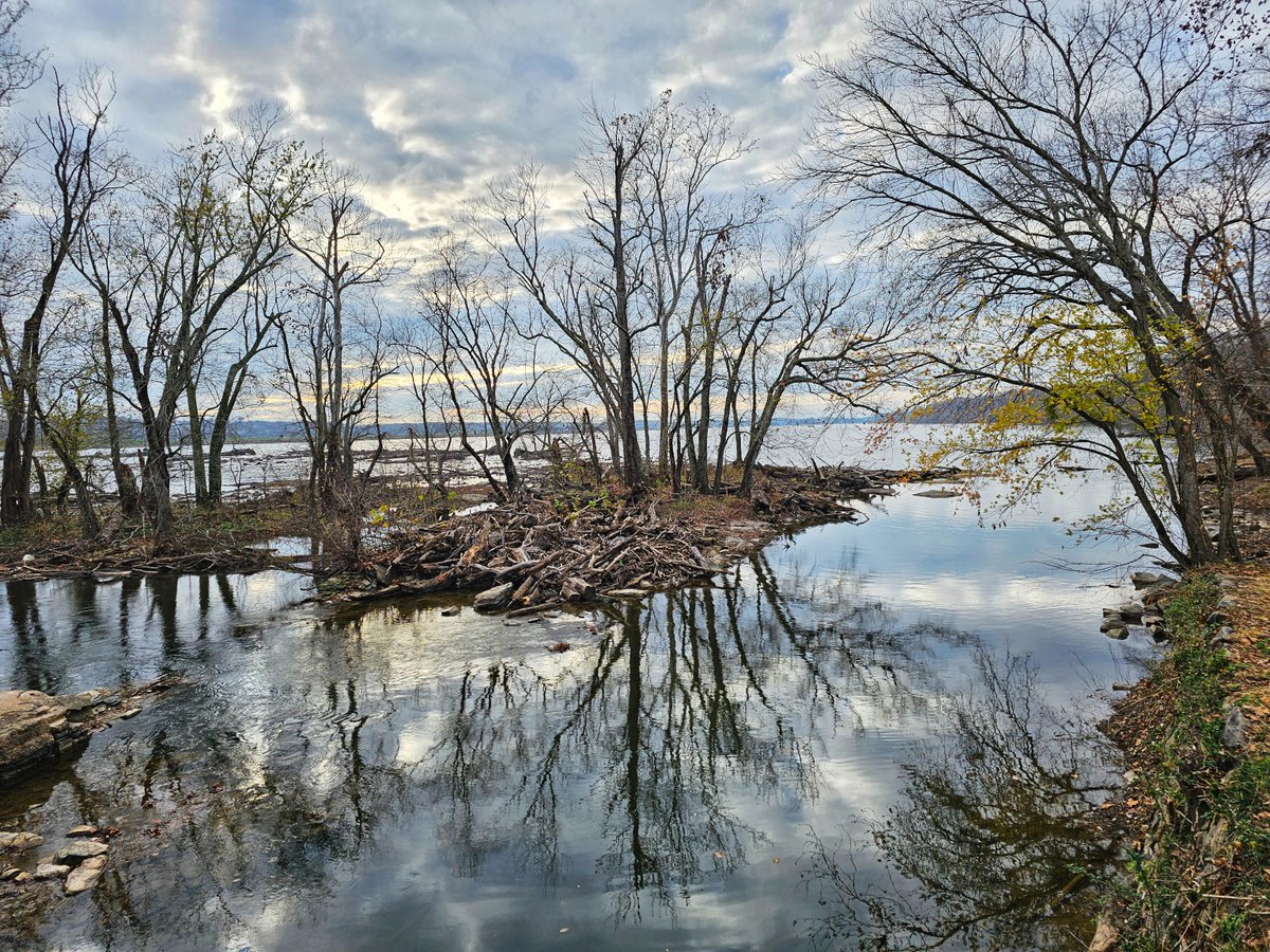 It's time for your C&amp;O Canal #MomentOfZen! Check back next week for a beautiful picture or video of the Chesapeake &amp; Ohio Canal National Historical Park.

📸: Serenity - Violettes Lock by Penney Baile