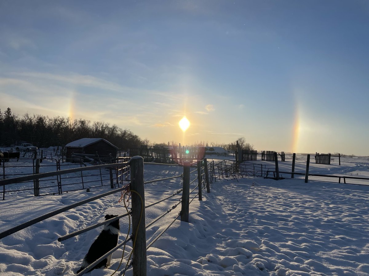 SimpsonEmber's tweet photo. Beauty sun dogs this morning https://t.co/WMcpQ0QvTn