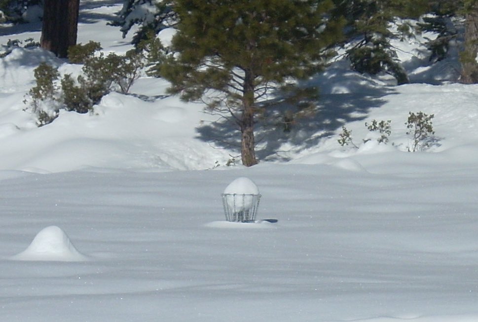 Frolfer Magazine tweet media